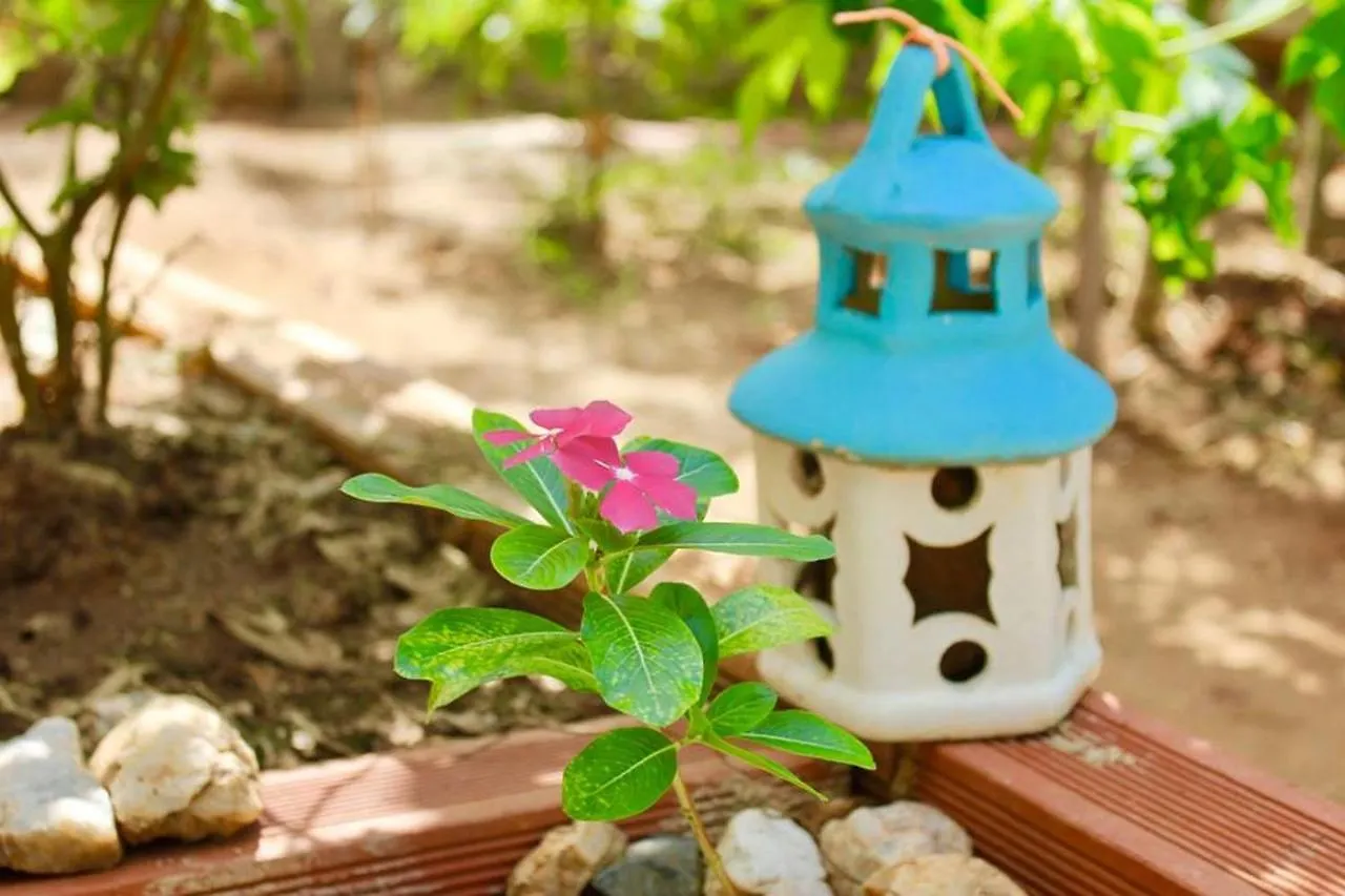 Guest house Casa Mediterranea Santa Marta